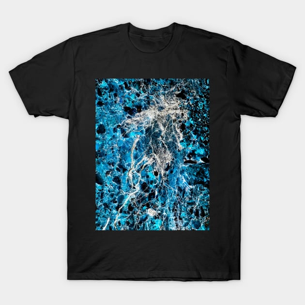 BRANCHED ROOTS 3 - Subterranean Conversation Exposed T-Shirt by spacedivers